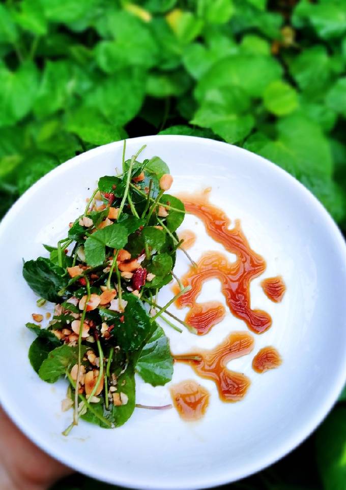Cách Làm Món Gỏi rau má của Nguyễn Nhung - Cookpad