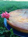 Flan de breuilh