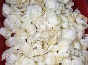 Gambar kerupuk puli dengan ayam
