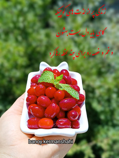 عکسی از دستور خواص زغال اخته