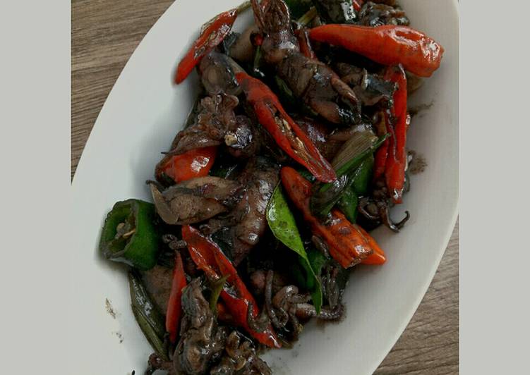 makanan Cumi Hitam Anti Gagal