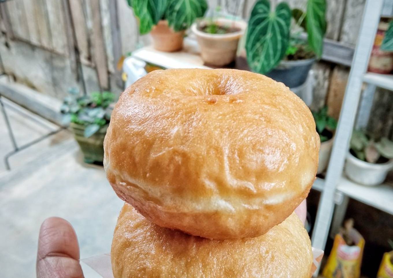 Donat *JJ*