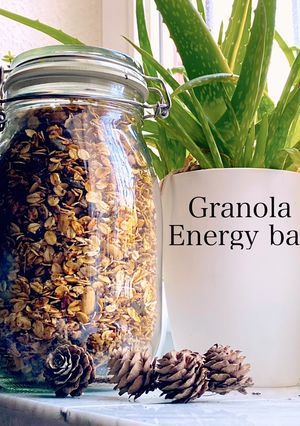 عکسی از دستور Granula گرانولا
