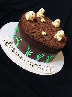 عکسی از دستور کیک تولد مشتری عزیزم 😍😍😍
