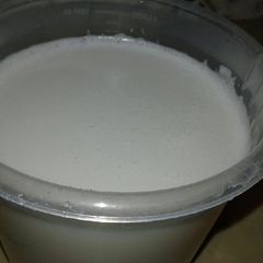 A picture of Homemade coconut milk.