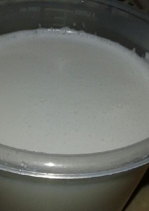 A picture of Homemade coconut milk.
