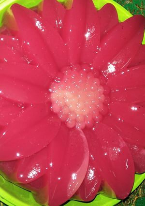 Foto resep Puding Naga
