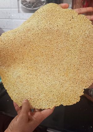 A picture of Sesame seeds papadi (til).