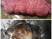 Una foto de carne de solomo