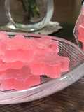 Kanten Wagashi:"Sakura"