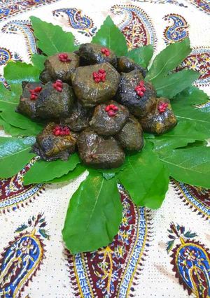 عکسی از دستور دلمه برگ مو (جنوبی)