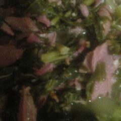 A picture of Collard greens.