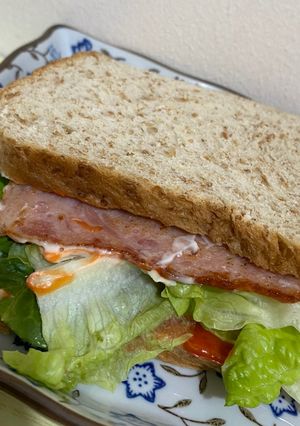 A picture of Ham Sandwich with Cheese.