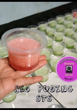 Foto resep Puding STS"Santan Telur Susu" simpel