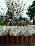 Chocolate Tart with Orange and Cardamom Cream