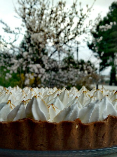 Foto principal de Tarta de chocolate con crema de naranja y cardamomo
