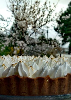 A picture of Chocolate Tart with Orange and Cardamom Cream.
