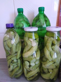 صورة لوصفة 🥒 مخلل او مكبوس القتة 🥒