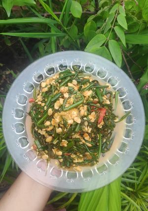 Foto resep Tumis Pakis Pedas