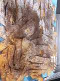 Chiacchiere