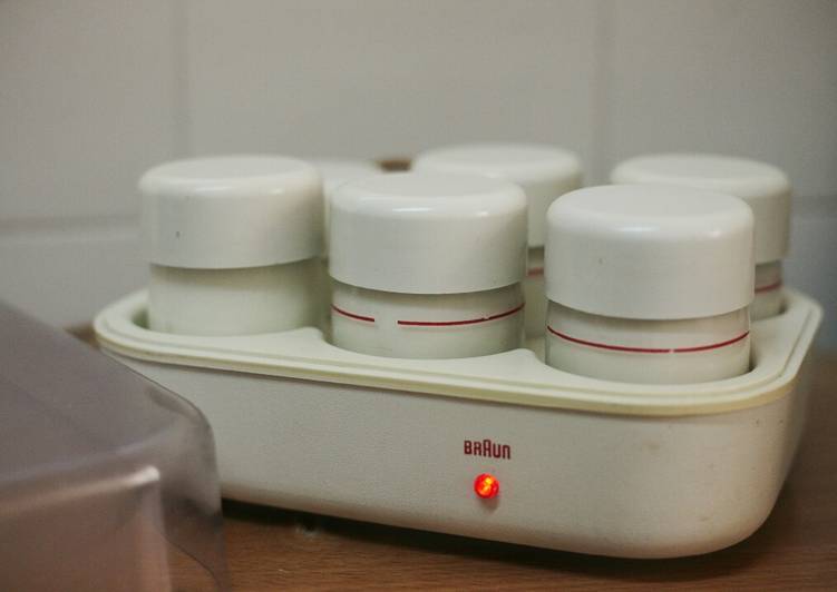 Yogur Bio natural en yogurtera