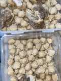 Bakso Ayam