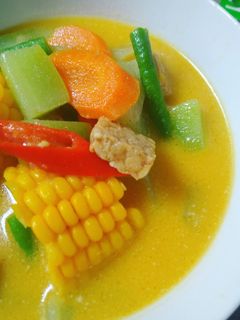 Foto resep Sayur Lodeh
