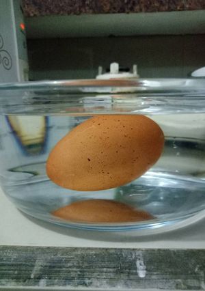 Foto resep Mengetahui kondisi telur