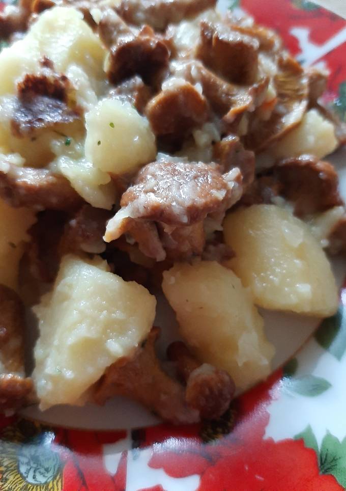 Лисички на картофельной лужайке