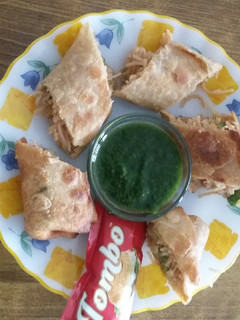 A picture of Spring roll with noodles.