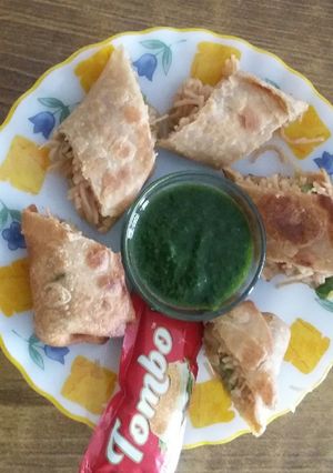 A picture of Spring roll with noodles.