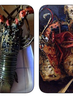 Foto resep Lobster saos tiram