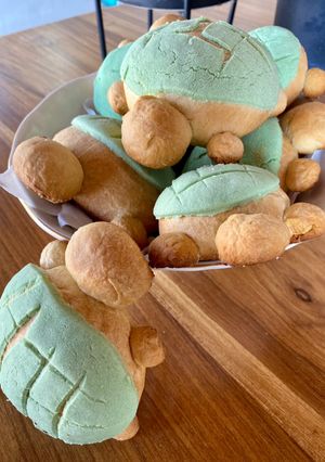 Una foto de TORTUCONCHAS 🐢