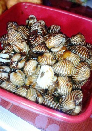 Foto resep Kerang Dara Tumis Manis Pedas