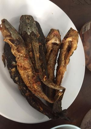Foto resep Lele goreng ketumbar