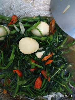 Foto resep Tumis kangkung telur puyuh