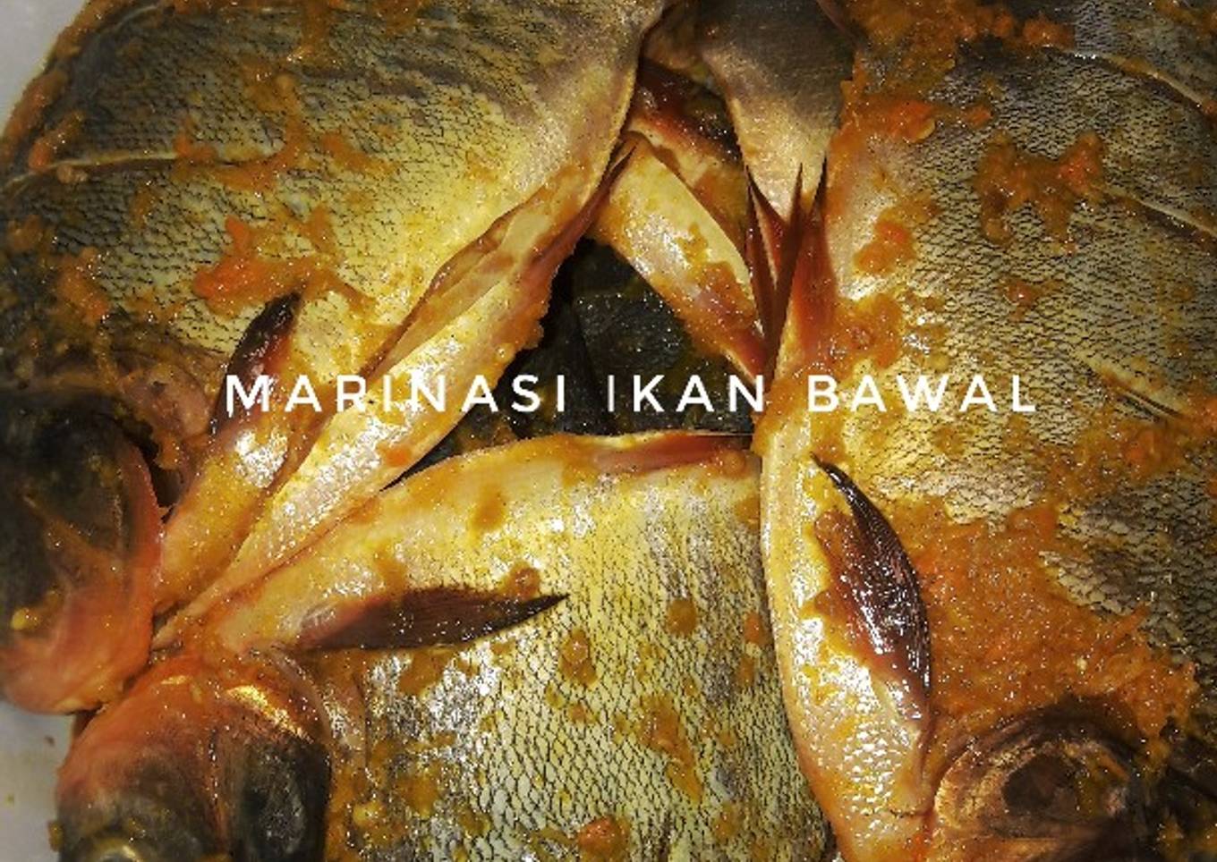 Marinasi Ikan Bawal