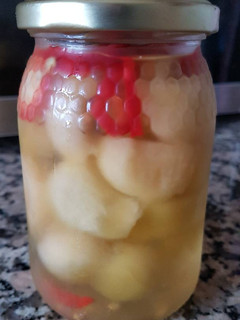 A picture of Pickle Melon.