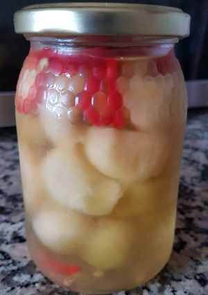 A picture of Pickle Melon.