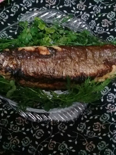 عکسی از دستور ماهی شکم پر