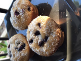 Muffins integrales con arándanos