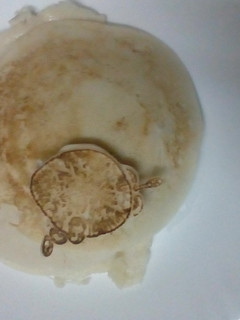 A picture of Egg Appam.