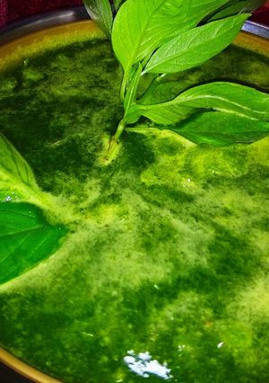 A picture of Marua Leaf Chutney.