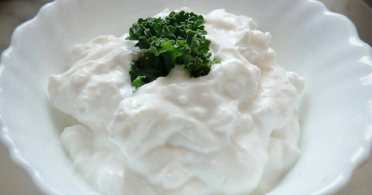 Resep Bibit Yogurt Plain Yogurt Homemade Step By Step Oleh Noof S Kitchen Cookpad