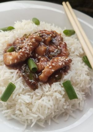 A picture of Mongolian chicken gravy with rice.
