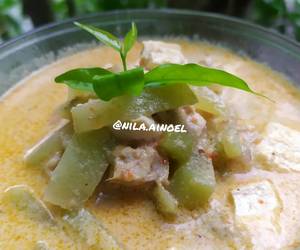 Masakan Unik Lodeh gondes/manisa/labu siam tahu tempe Mantul Banget Masakan Unik Lodeh gondes/manisa/labu siam tahu tempe Mantul Banget