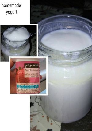 Foto resep Membuat yogurt dengan yogurt ada rasanya