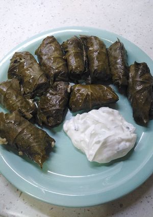 Φωτογραφία της συνταγής Ντολμαδάκια