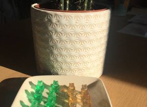 Une photo de Petits oursons alcoolisés