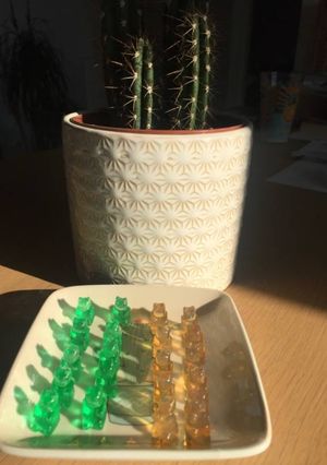 Une photo de Petits oursons alcoolisés